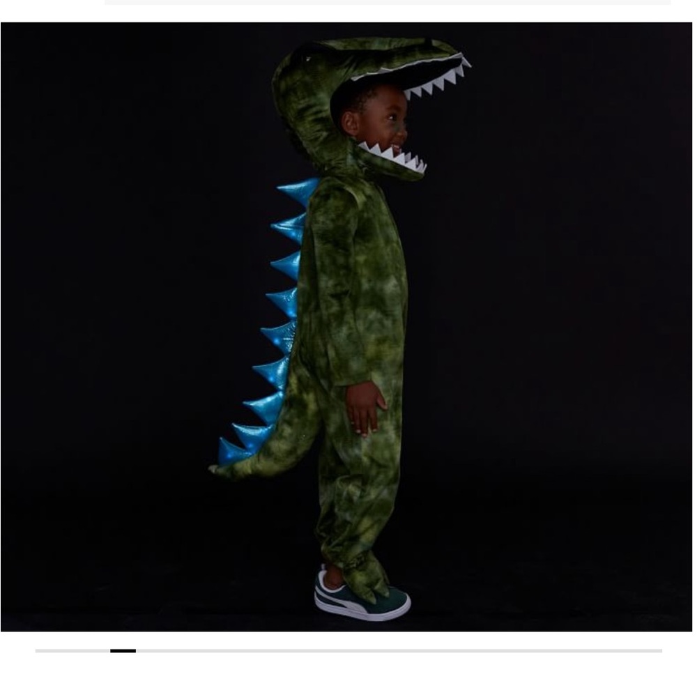 Pottery Barn Kids Green Dinosaur Costume - Picture 5 of 5